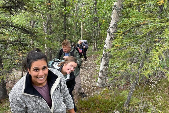 5-Hour Mountain Hiking Tour in the Alaska Range - Denali Area - Key Points
