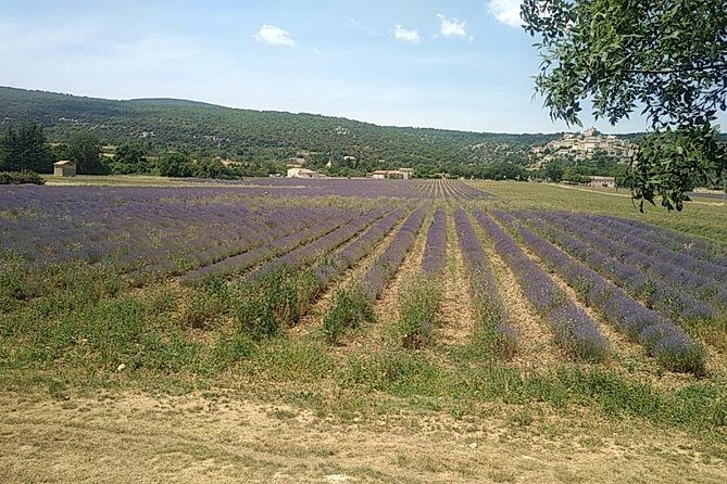 5-Hour Private Sightseeing Tour of the Provence from Marseille in Luxury Car - An In-Depth Look at the Provence Private Tour