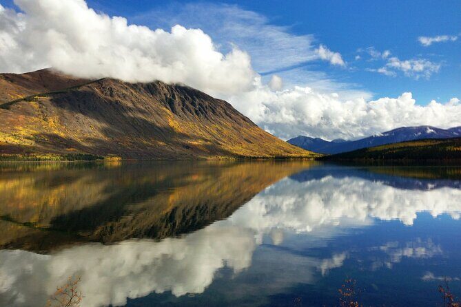 5 Hour Tour to the Yukon Border with Suspension Bridge - Final Thoughts