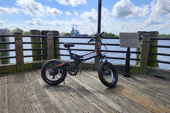 5-Hour Wilmington River to Sea E-Bike Self-Guided Adventure Tour - Why This Tour Might Work for You