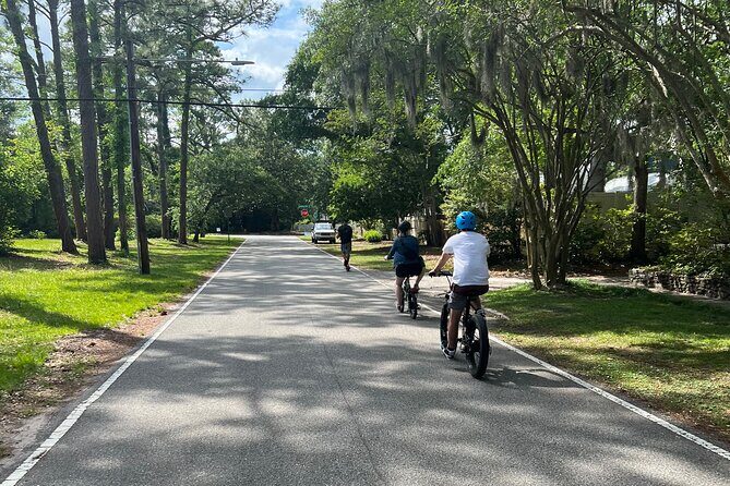 5-Hour Wilmington River to Sea E-Bike Self-Guided Adventure Tour - Practical Considerations and Who It’s Best For
