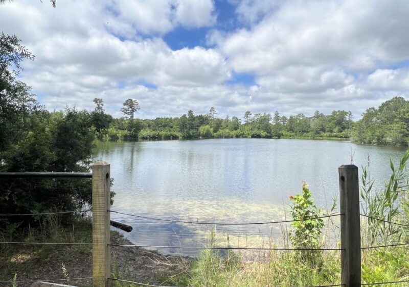 5-Hour Wilmington River to Sea E-Bike Self-Guided Tour - What is the Wilmington River to Sea E-Bike Self-Guided Tour?