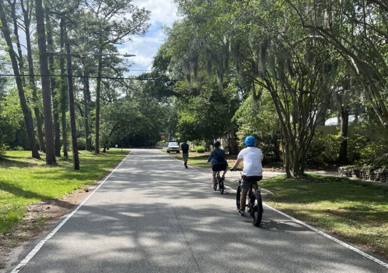5-Hour Wilmington River to Sea E-Bike Self-Guided Tour - What’s Included and What’s Not