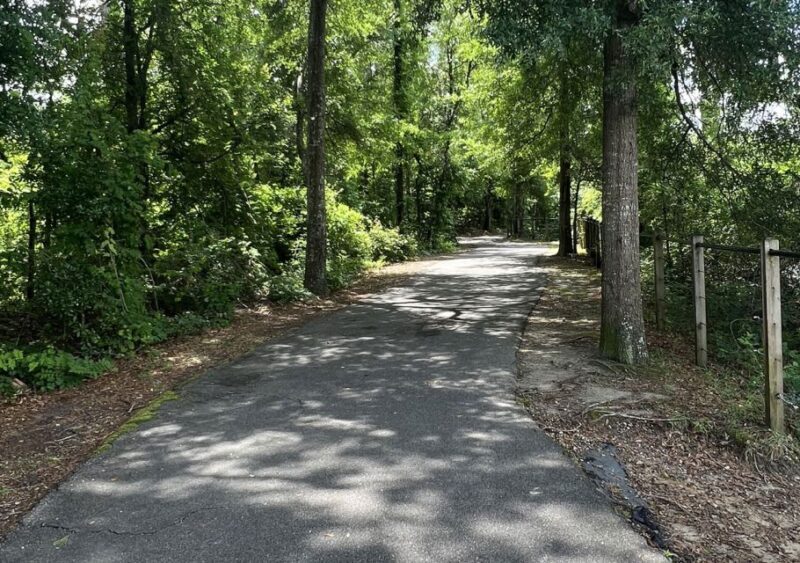 5-Hour Wilmington River to Sea E-Bike Self-Guided Tour - The Sum Up