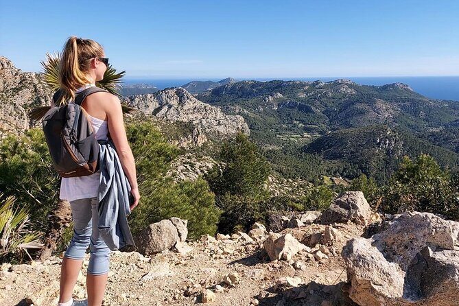 5 hours Mallorca hiking tour in Castell d Alaro - An In-Depth Look at the Mallorca Hiking Tour to Castell d’Alaró