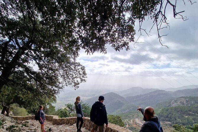 5 hours Mallorca hiking tour in Castell d Alaro - FAQ