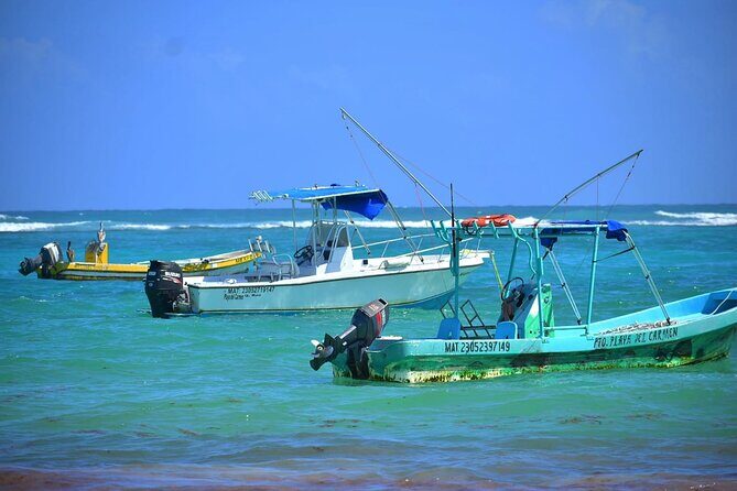 5 Hours Mayan Snorkeling Experience in Tulum - The Sum Up