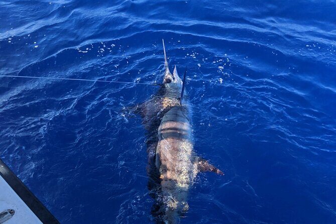 5 Hours Private Fishing Charter in Kailua-Kona - Who Will Love This Trip?