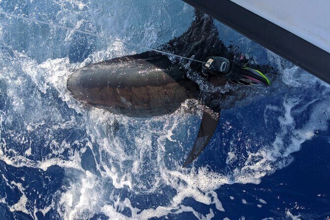 5 Hours Private Fishing Charter in Kailua-Kona - Wrapping Up