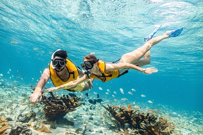 5-in-1 Cancun Snorkeling Tour with Sea Life & Transport Included - Is This Tour Worth It?