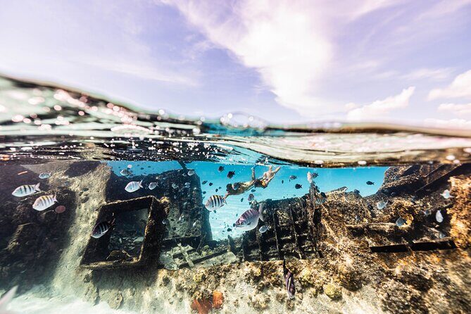 5-in-1 Cancun Snorkeling Tour with Sea Life & Transport Included - Final Thoughts