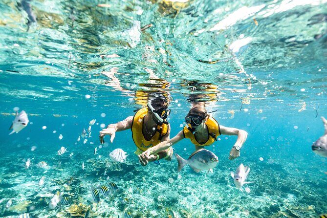5-in-1 Cancun Snorkeling Tour with Sea Life & Transport Included - FAQ