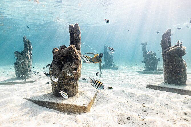 5-in-1 Cancun Snorkeling: Turtles, Reef, Musa, Shipwreck, Cenote - Value for Money