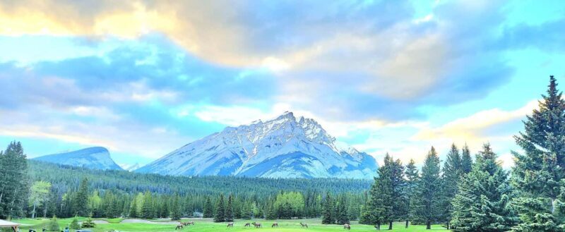 5 LAKES & 3 HIDDEN GEMS IN ONE DAY, TOTAL 8 PLACES - Transportation and Group Size