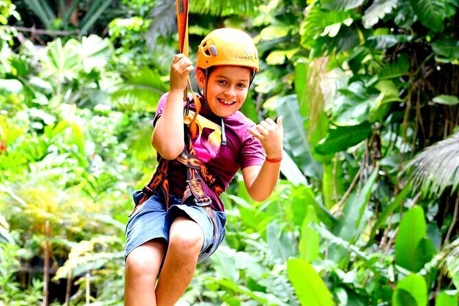 5 Line Jungle Zipline Eco Adventure - The Scenic and Educational Appeal
