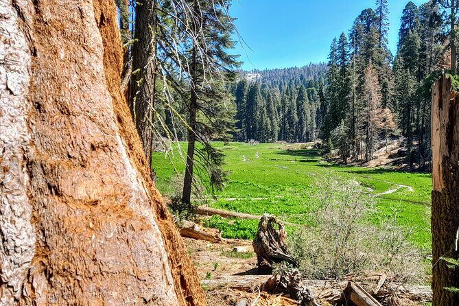 5-Star Rated Sequoia Winter Tour - Final Thoughts