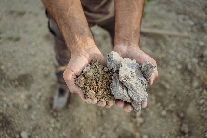 5 Wine Tastings in San Gimignano - What to Expect from This San Gimignano Wine Tour
