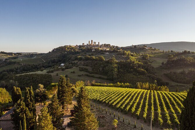 5 Wine Tastings in San Gimignano - Analyzing the Price and Overall Value
