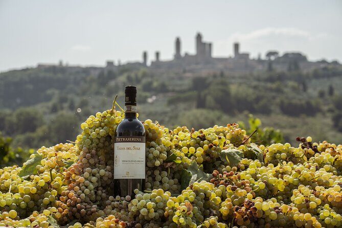 5 Wine Tastings in San Gimignano - Who Will Love This Tour?