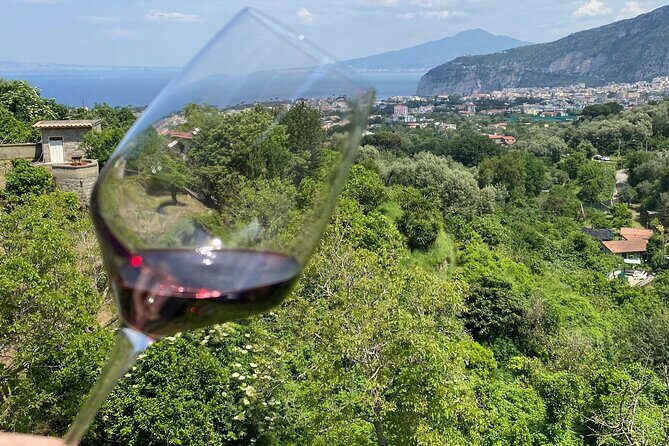 5 Wine Tastings with Typical Products in Sorrento Coast - Final Thoughts