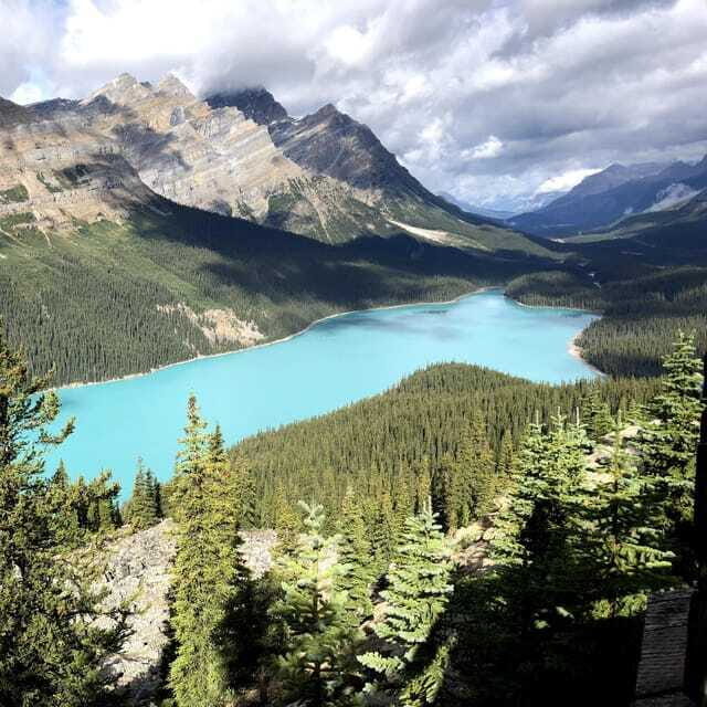 50% OFF Columbia icefield - The Value Proposition