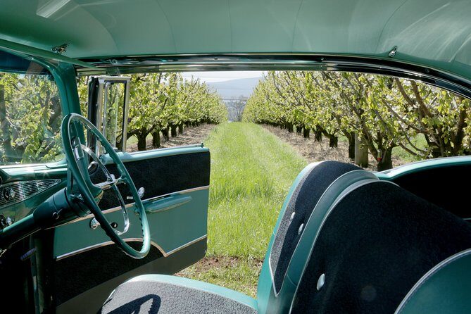 '56 Chevrolet 6-hr Yarra Valley Classic Car Private Tour (4 ppl) - Key Points