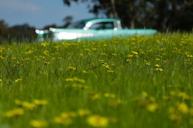 '56 Chevrolet 6-hr Yarra Valley Classic Car Private Tour (4 ppl) - Practical Details and FAQs