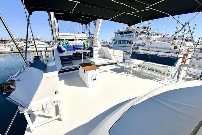 59' Paradise Party Yacht - Adventure Cruises San Diego com - Who Is This Tour Best For?