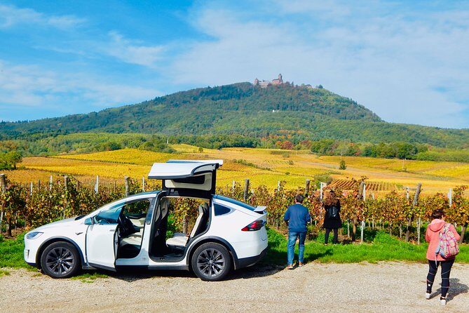 5H00 ALSACE PRIVATE TOUR-Castle, Villages, Wine, Friendly Driver - Why This Tour Might Be for You