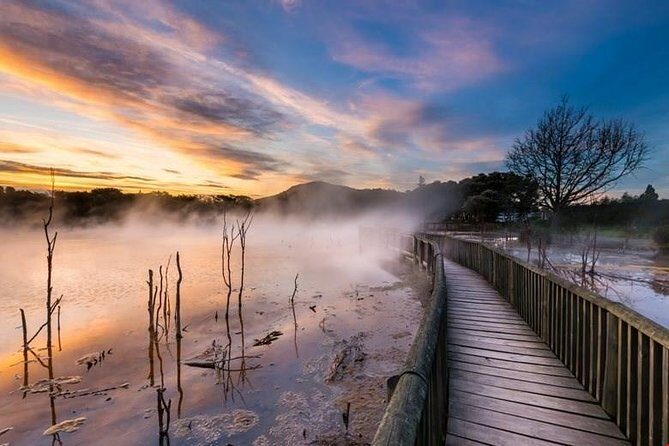 6.5 hour Small-Group Rotorua Naturally Shore Excursion - Tauranga - Key Points
