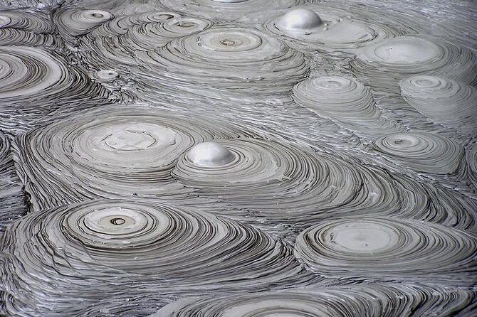 6.5 hour Small-Group Rotorua Naturally Shore Excursion - Tauranga - Overview: What’s This Tour All About