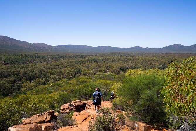 6-Day Eyre Peninsula & Flinders Ranges Adventure Tour - Final Thoughts