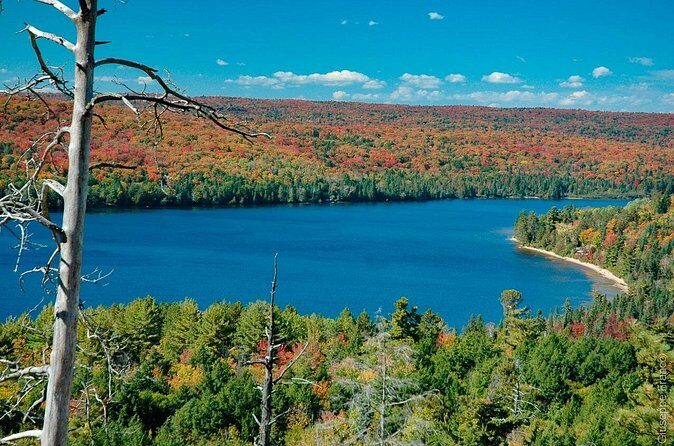 6-Day Small Group Tour:Toronto,Montreal,Niagara&Ontario Lakes - Logistics and Practical Tips