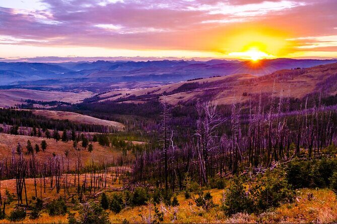 6-Day Yellowstone and Mount Rushmore Tour from Salt Lake City - Frequently Asked Questions