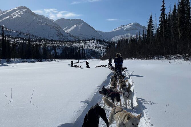 6 Days Brooks Range Expedition Private Tour - The Experience in Detail