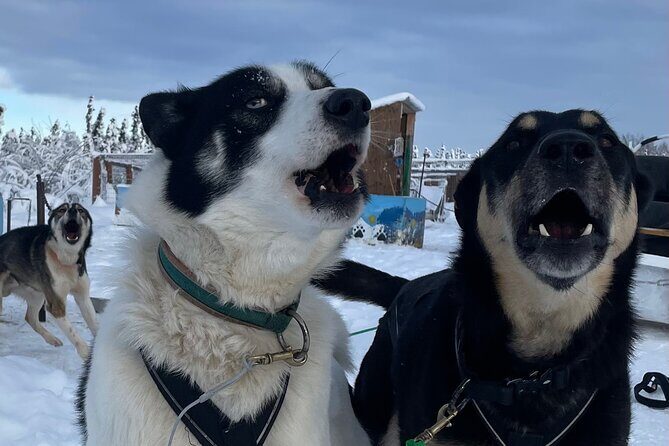 6 Days Brooks Range Expedition Private Tour - Final Thoughts