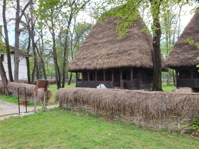 6 Days in Romania - Private Tour - Practical Considerations