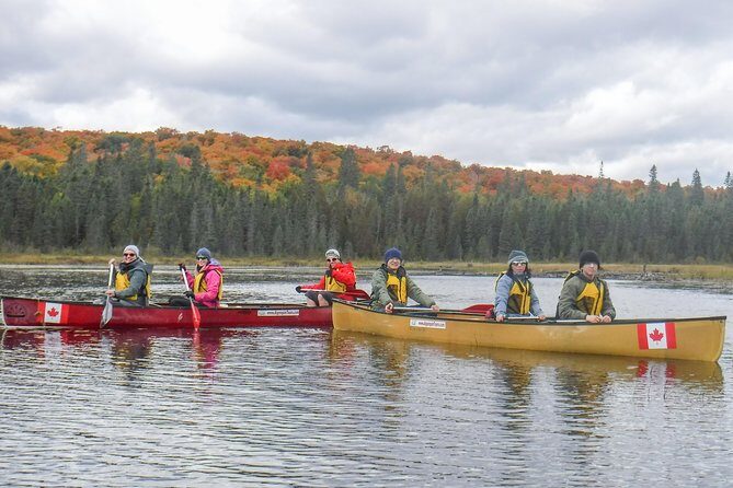 6 Hour Algonquin Park Canoe Trip - Wrapping It Up