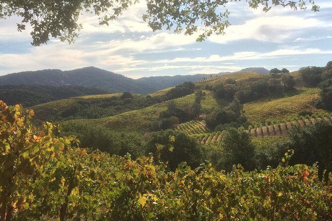 6-Hour Exclusive Wine Tour Experience: Up to 6 Guests - FAQs