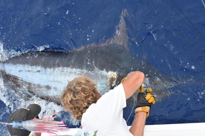 6 Hour Fishing Charter - Exploring the 6 Hour Fishing Charter on Hawaii’s Big Island