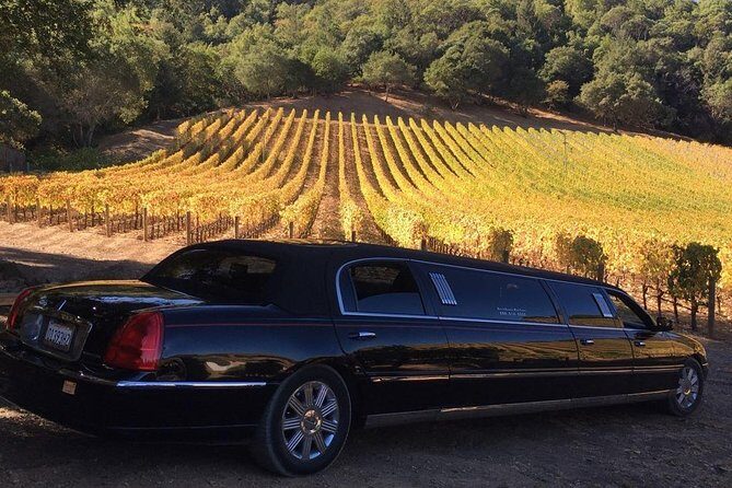 6-Hour Luxury Napa Wine Tasting Tour with Route Planning - Key Points