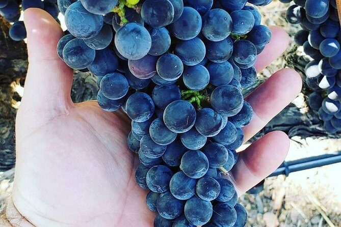 6-Hour Luxury Napa Wine Tasting Tour with Route Planning - Final Thoughts: Is It for You?