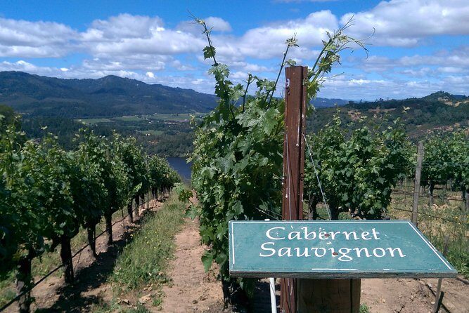 6 Hour Napa or Sonoma Wine Tour in Private Limousine - FAQs