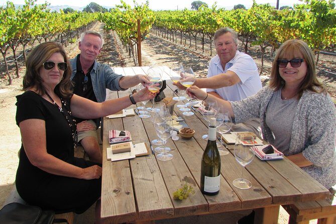 6 Hour Private Customized Wine Tour up to 7 Guests Napa & Sonoma - Final Thoughts and Who This Tour Is Best For