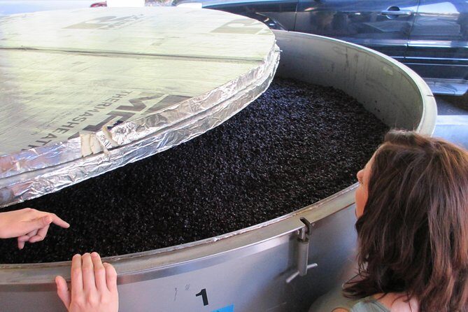 6 Hour Private Customized Wine Tour up to 7 Guests Napa & Sonoma - FAQ