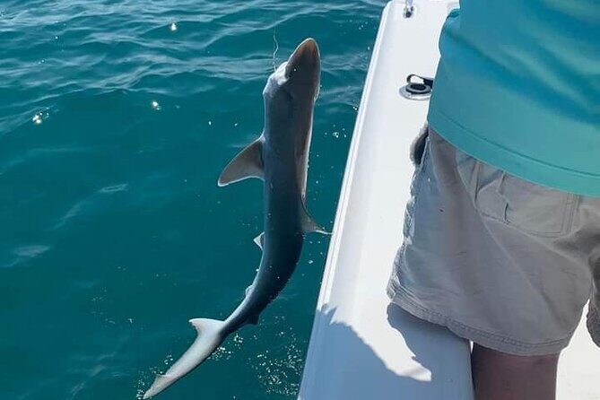 6 Hour Private Fishing Tour in Sarasota with Master Captain Bill - What to Expect from the 6-Hour Private Fishing Tour