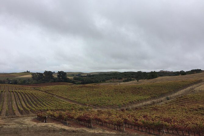 6-Hour Private Limousine Wine Country Tour of Napa or Sonoma - Analyzing the Value