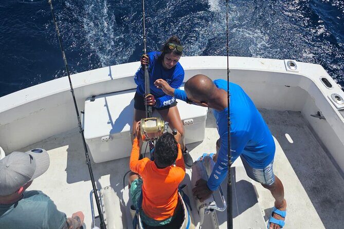 6-Hour Private Sportfishing Charter in Fort Lauderdale - The Experience Itself: What You Might Encounter
