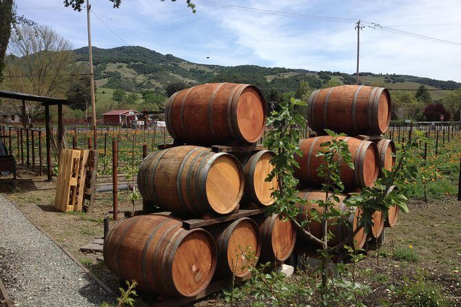 6-Hour Private Wine Country Tour of Napa in Crossover SUV (up to 6 people) - What’s Included and What’s Not