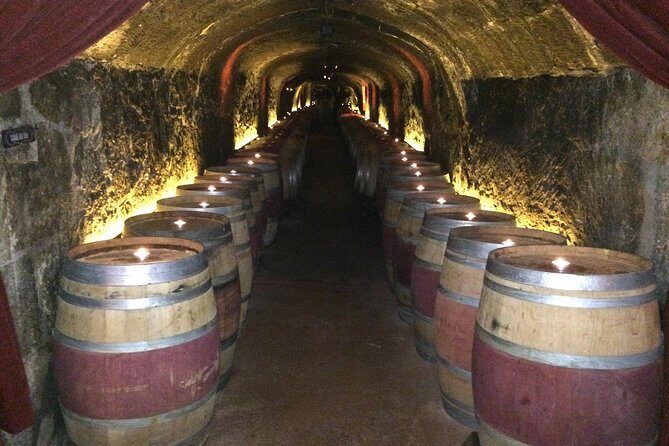 6-Hour Private Wine Country Tour of Napa in Crossover SUV (up to 6 people) - The Experience From a Traveler’s Perspective